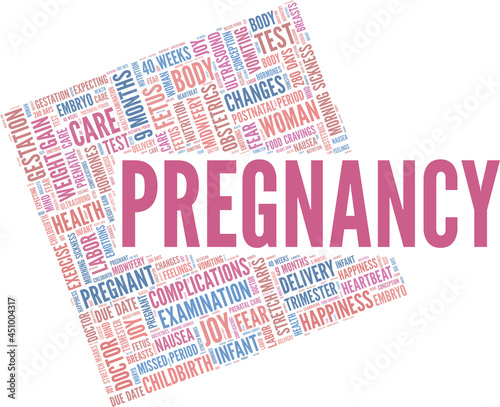 Pregnancy vector illustration word cloud isolated on a white background.