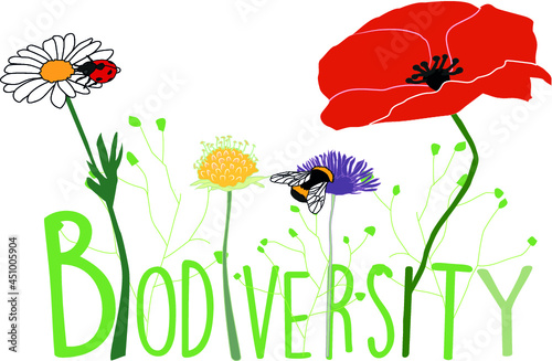 Graphic illustration showing the theme Biodiversity