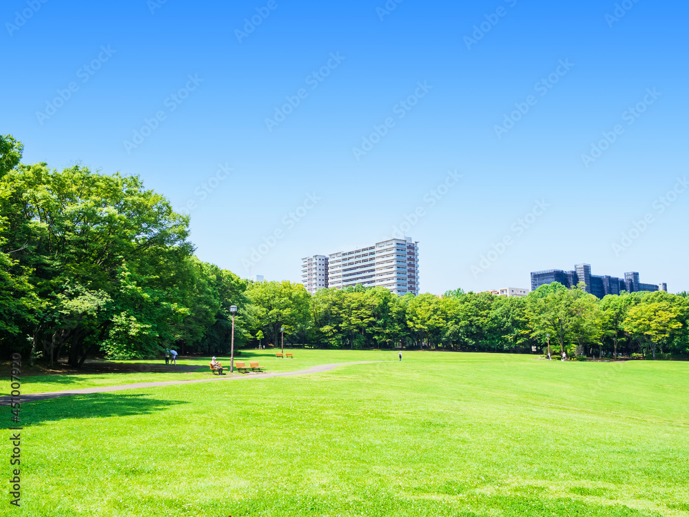 青空と緑の公園広場 青空と緑の公園広場