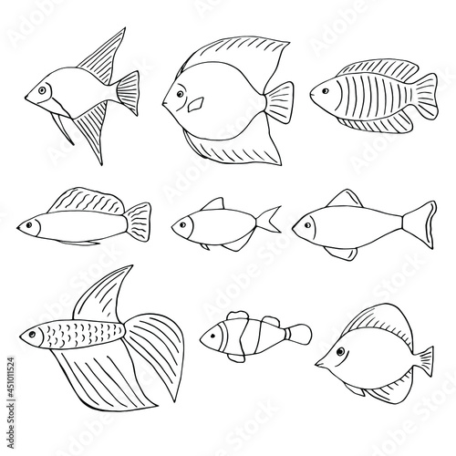 Aquarium fish set, vector illustration, hand drawn doodles