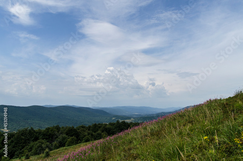 Fototapeta Naklejka Na Ścianę i Meble -  Bieszczady połonina Caryńska 