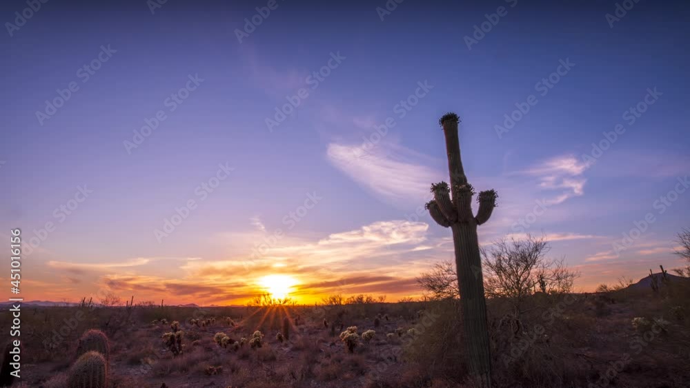 A time-lapse of the sunset (from dusk to almost dark) over the desert near Scottsdale, Arizona with the silhouette of a Saguaro cactus in the foreground.