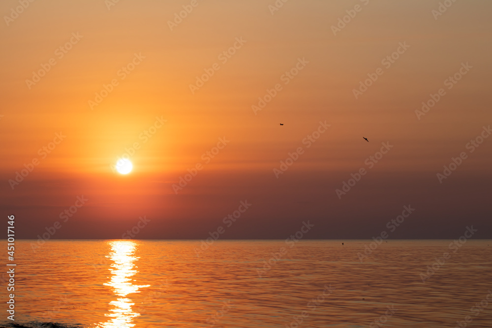Sunrise on the sea with a seagull. Morning sun above the black sea.