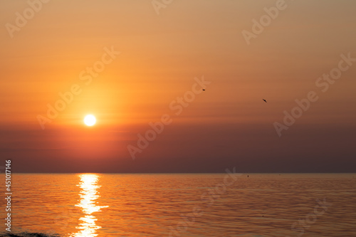 Sunrise on the sea with a seagull. Morning sun above the black sea. © SlavoArtist