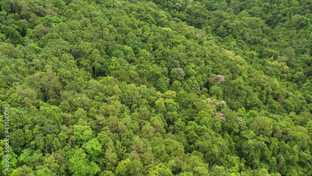 Aerial view flying above lush green tropical rain forest mountain the rainy season on the Doi Phuka Mountain reserve national park the Nan province northern Thailand. Aerial view flying above lush green tropical rain forest mountain the rainy season on the Doi Phuka Mountain reserve national park the Nan province northern Thailand.