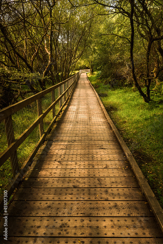 Fototapeta Naklejka Na Ścianę i Meble -  Wooden trail at Glendalough Ireland