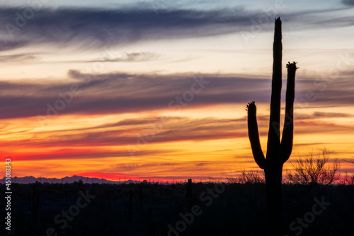 Sunset over the desert near Scottsdale, Arizona with the silhouette of a Saguaro cactus in the foreground.