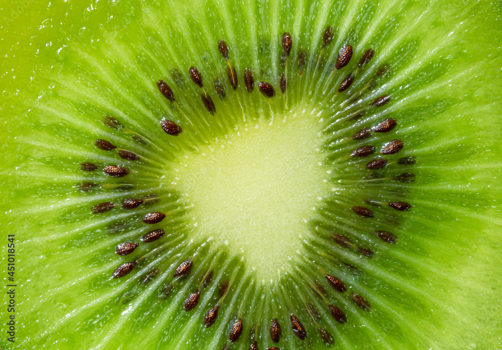 Kiwi Macro,slice of kiwi fruit on a full frame. horizont Kiwi Macro,slice of kiwi fruit on a full frame. horizont