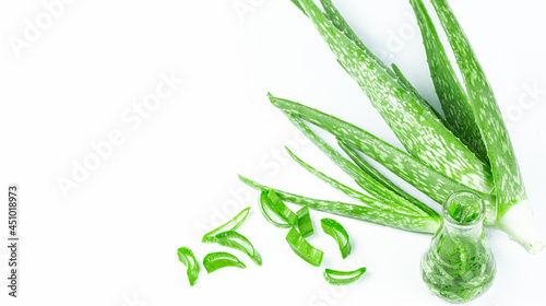 Aloe vera essential oil on tropical leaves background,Fresh Aloe vera sliced with plant and water droplets isolated on white background.