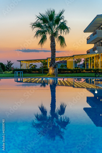 reflection of palm tree at water of swimming pool