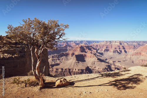 Grand Canyon USA © Julia