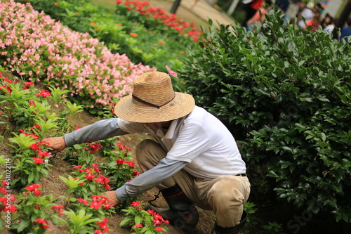 園芸を嗜みながら働く人