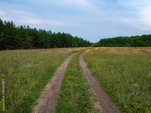 A dirt road along the edge of the forest in a field  in the evening on a summer day.