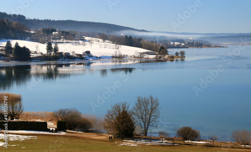 Fototapeta Naklejka Na Ścianę i Meble -  Le lac de Saint-point dans le Jura, saisi par l'hiver et au rives enneigées.