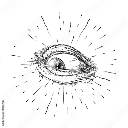 All seeing eye symbol element variation. Alchemy, religion, spirituality and occultism tattoo ink art. Vision of providence and conspiracy theory. Hand drawing in flash tattoo style artwork. Vector.
