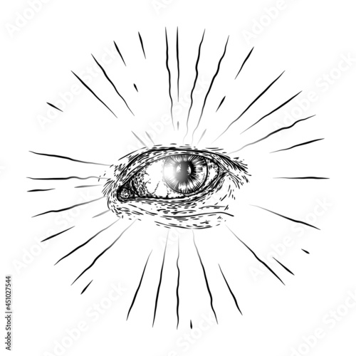 All seeing eye symbol element variation. Alchemy, religion, spirituality and occultism tattoo ink art. Vision of providence and conspiracy theory. Hand drawing in flash tattoo style artwork. Vector.