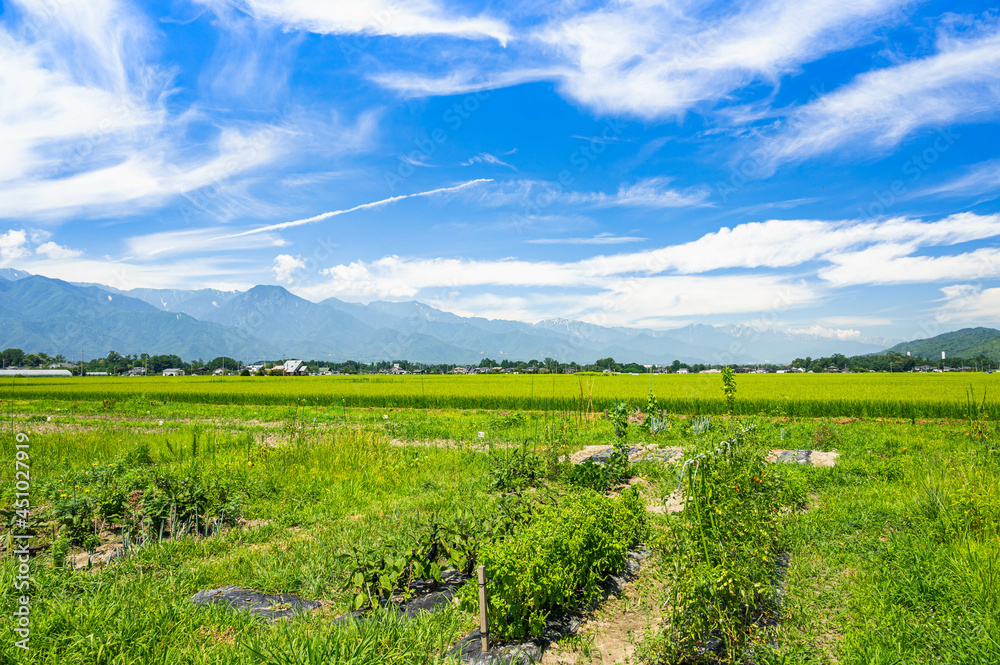 安曇野市　穂高の市民農園