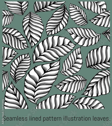 Seamless lined black and white pattern illustration leaves.