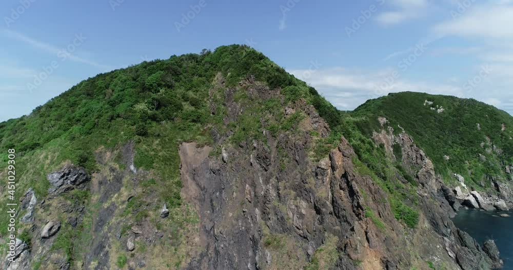 和歌山県有田市の山 和歌山県有田市の山
