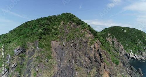 和歌山県有田市の山