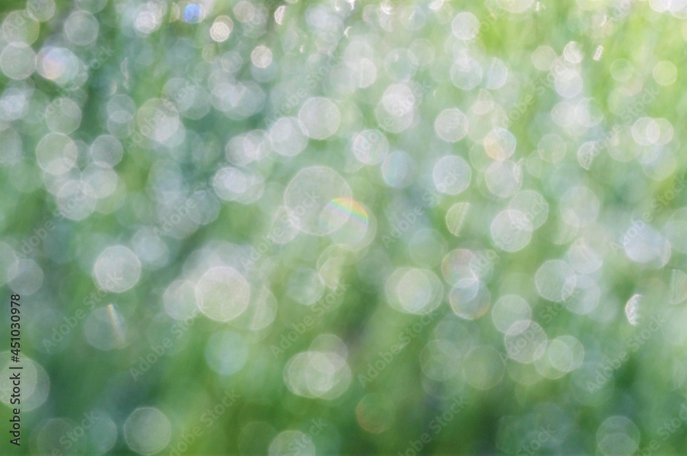 Obraz premium natural blurred green nature background of bokeh lights. Design element.