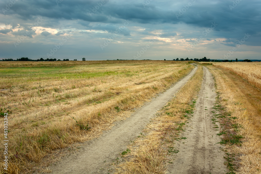 Dirt road through fields and cloudy sky