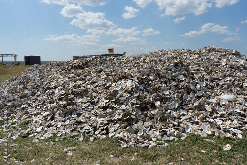 Hill of oyster shells on 