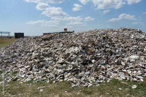 Hill of oyster shells on "Scifian Oysters" farm in Tiligul estuary, Ukraine on July 26, 2021.