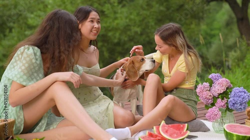 Medium shot of multiracial female friends with dog enjoying summer day on picnic. Happy friends having fun on picnic near a lake, sitting on pier planing with dog photo