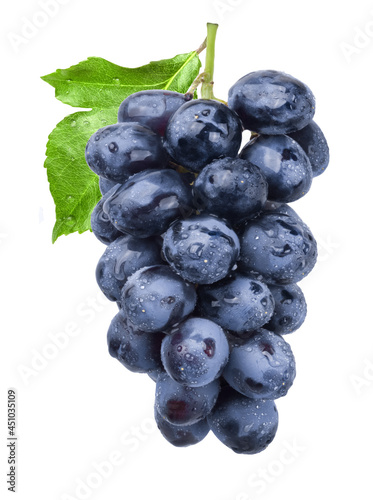 Bunch of ripe dark blue grapes in water drops with green leaf isolated on white background. Fresh fruits.