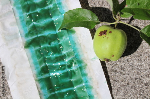 Leimring und ein von einer Raupe beschädigter Apfel photo