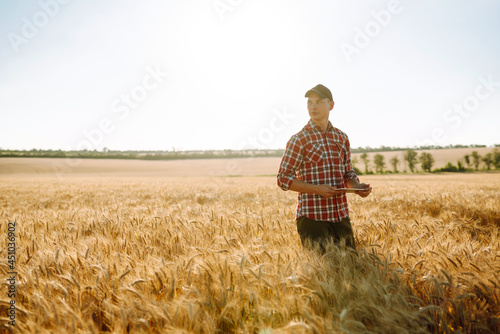 Farmer checking wheat field progress, holding tablet and using Internet.  Smart farming concept. © maxbelchenko
