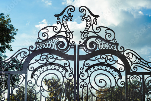 Decorative estate entry gates detail 