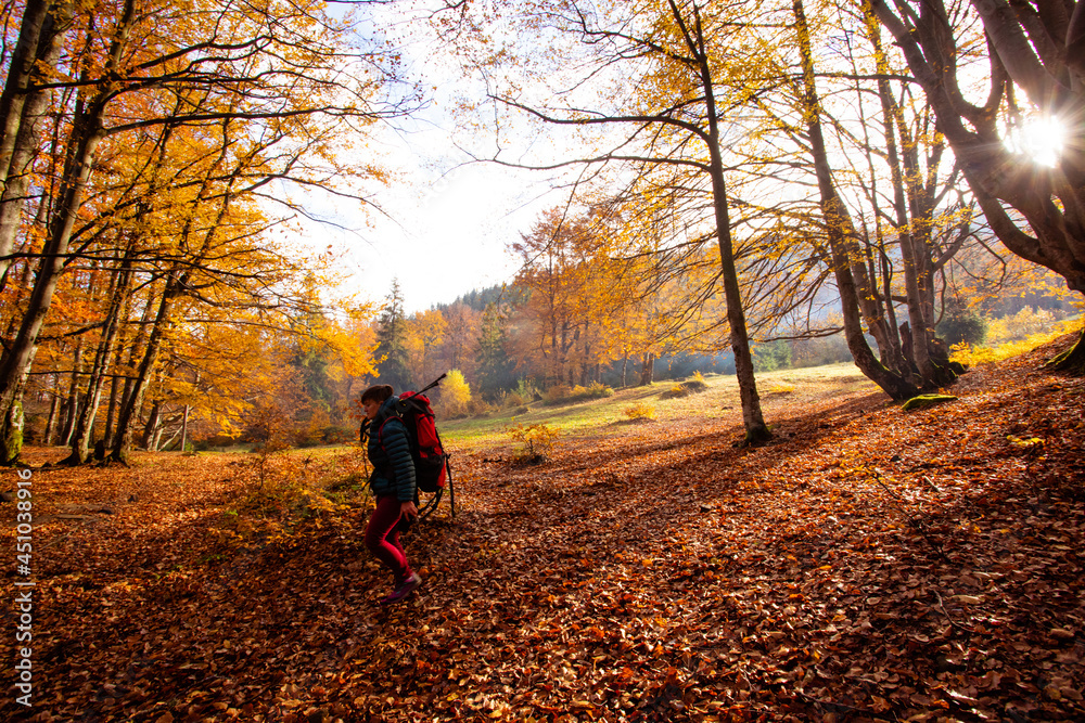 The woman hiker travels in the woods is looking around The woman hiker travels in the woods is looking around