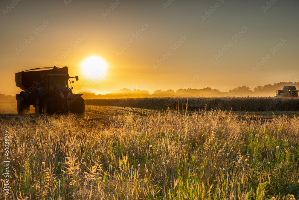 Fototapeta premium Récolte du blé au coucher du soleil dans le département de l'Oise en france