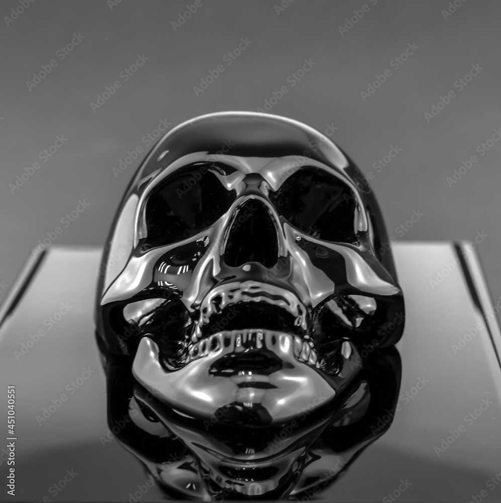 Fototapeta premium Glossy black skull bottom view