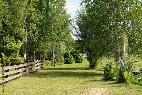 fence in the park