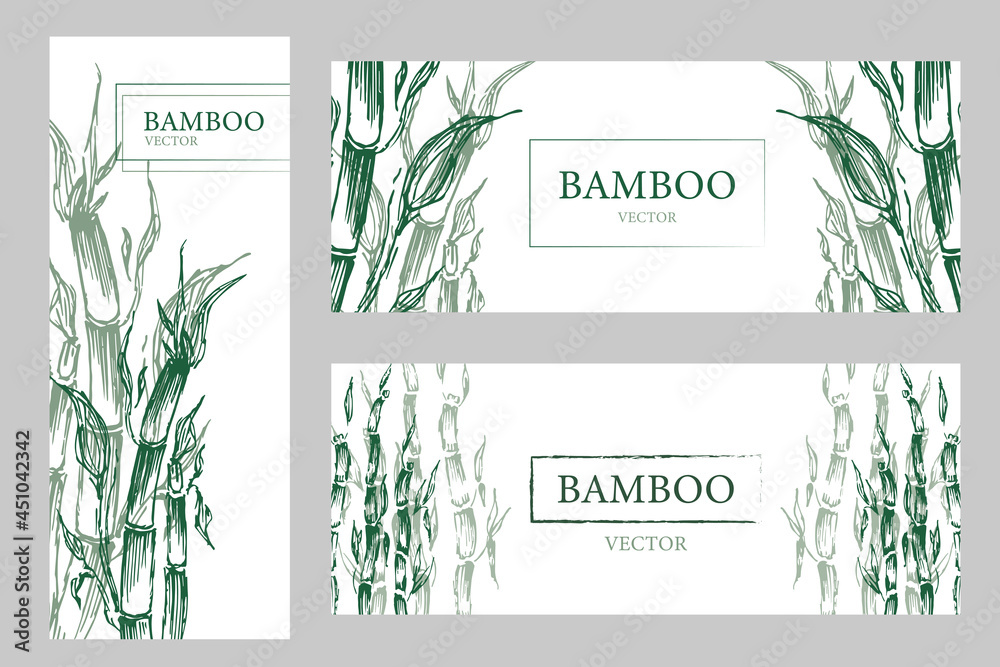 set three banners with green bamboo trees. Vector illustration Traditional Japanese. Bamboo flyer. Natural Tropical Plant Background