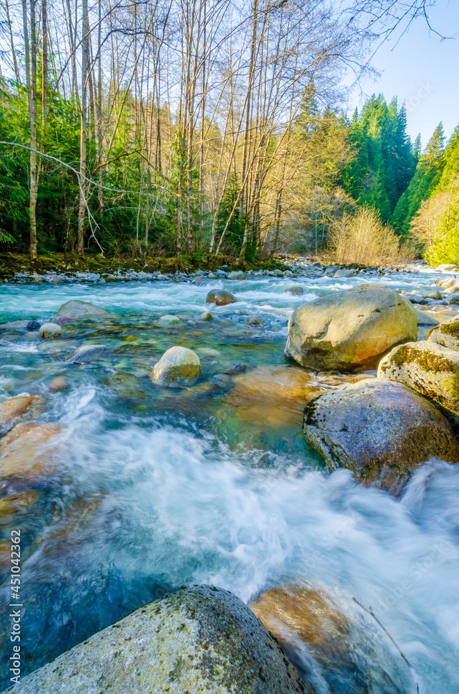 Majestic mountain river with rocks and forest background in Vancouver, Canada.