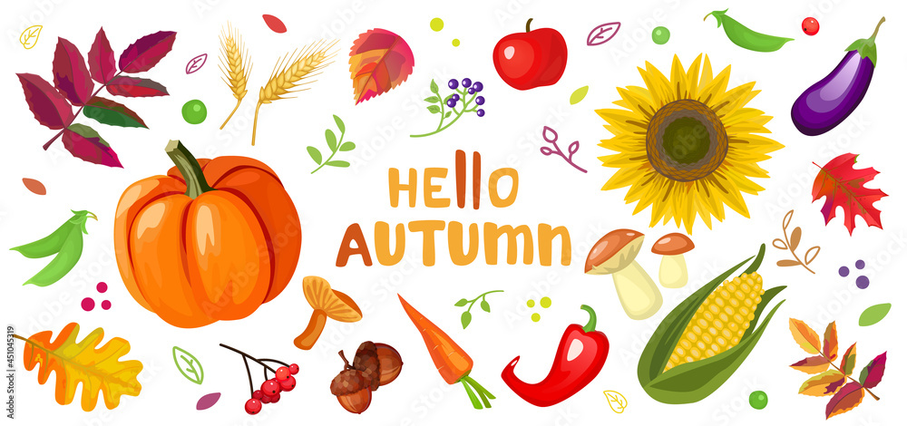Autumn set with pumpkin, sunflower, mushrooms and falling leaves.