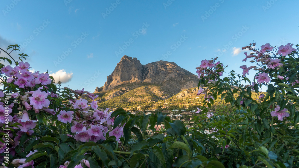 Εκτύπωση καμβά panoramic of the mountain puig campana between a blue sky and flowers in the foreground
