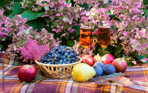 Rose champagne, figs, apples and pear on plaid in autumn sunny day