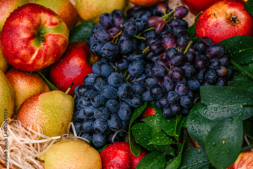 autumn still life.decor.flowers and fruits autumn still life.decor.flowers and fruits