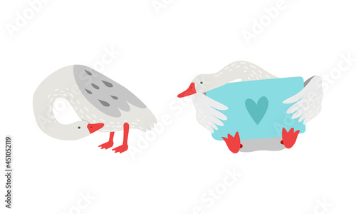 Grey Goose Character Sitting with Envelope Vector Set