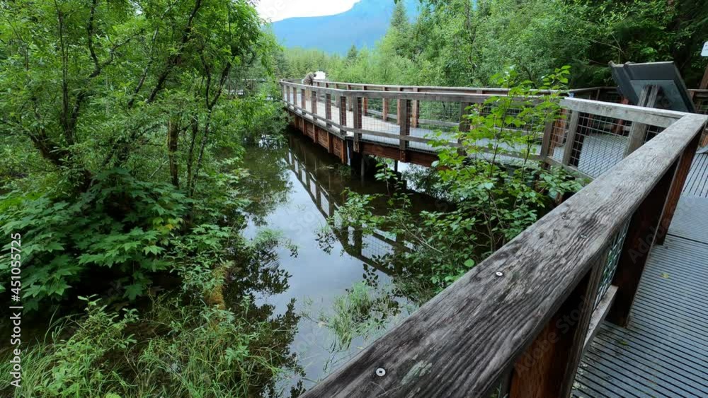 Tourists pass lifted walkway in forest at the Mendenhall Glacier Visitor Center Alaska Juneau Tourists pass lifted walkway in forest at the Mendenhall Glacier Visitor Center Alaska Juneau