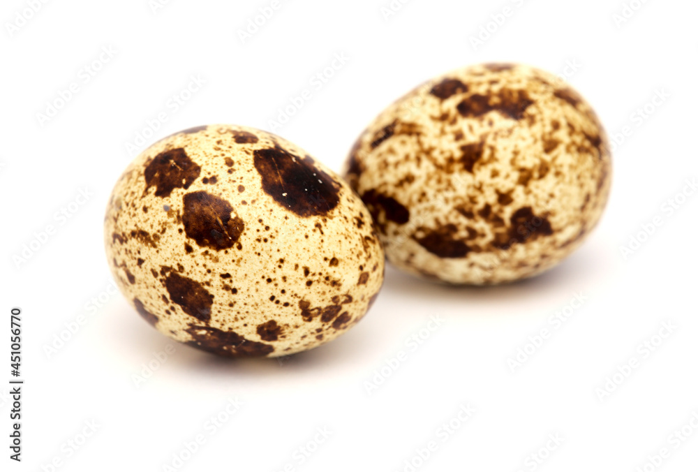 small speckled quail eggs isolated on white background small speckled quail eggs isolated on white background