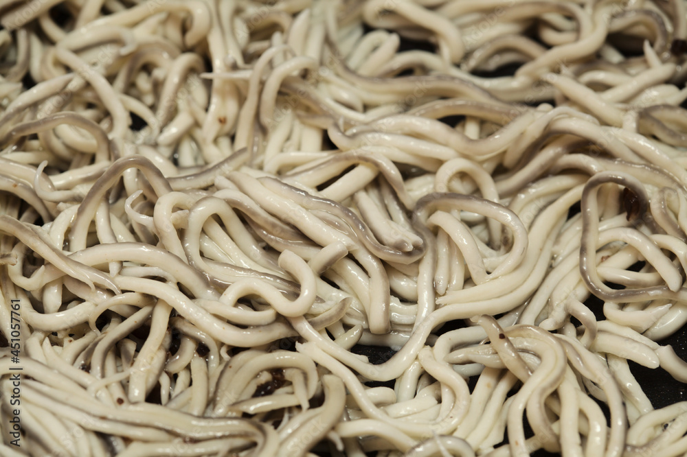 Gulas, popular seafood in the north of Spain, a cheaper substitute of very expensive juvenile fish of Eels called angula
