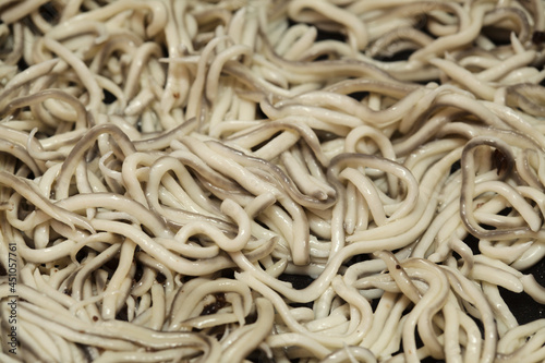Gulas, popular seafood in the north of Spain, a cheaper substitute of very expensive juvenile fish of Eels called angula 