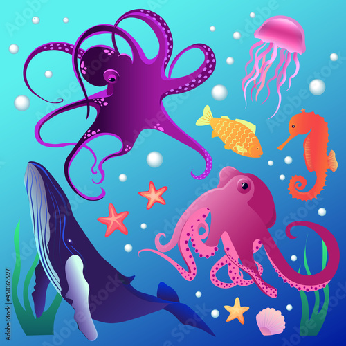 Set of vector illustrations of ocean inhabitants