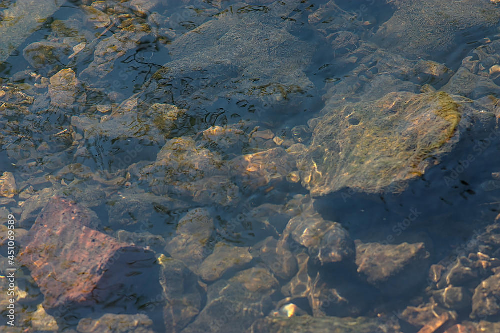 the rocky bottom of the creek can be seen through the clear water